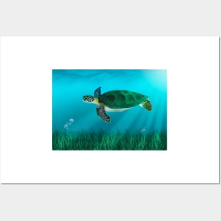 Green Turtle and Sea Grass Posters and Art